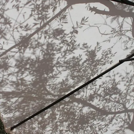 I Caselli, Mini Vue Dans Calme Et Arboree *