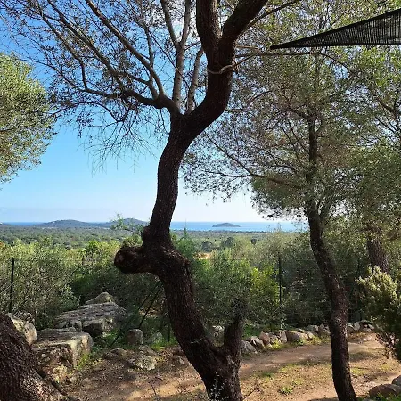 I Caselli, Mini Vue Dans Calme Et Arboree *