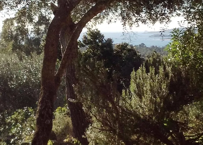 I Caselli, Mini Vue Dans Calme Et Arboree Lecci
