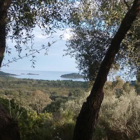 I Caselli, Mini Vue Dans Calme Et Arboree Semesterbostad Lecci