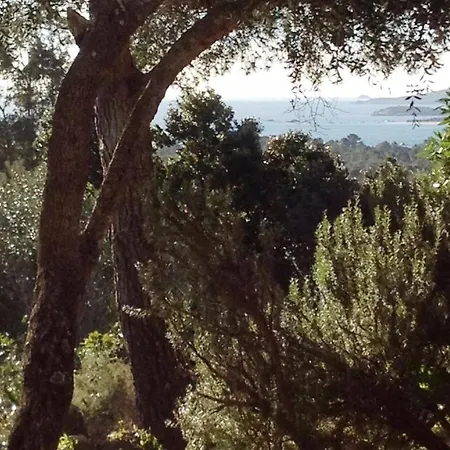 I Caselli, Mini Vue Dans Calme Et Arboree Lecci