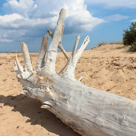 I Caselli, Mini Vue Dans Résidence Calme Et Arborée * Lecci
