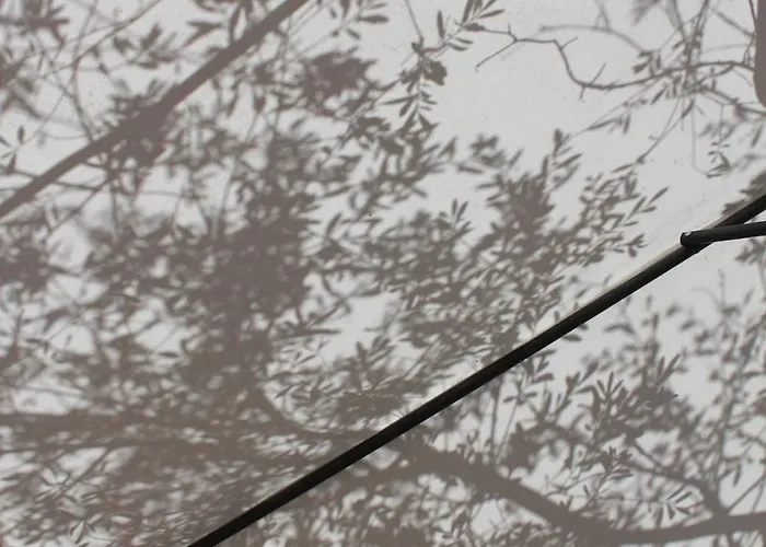 I Caselli, Mini Vue Dans Calme Et Arboree *