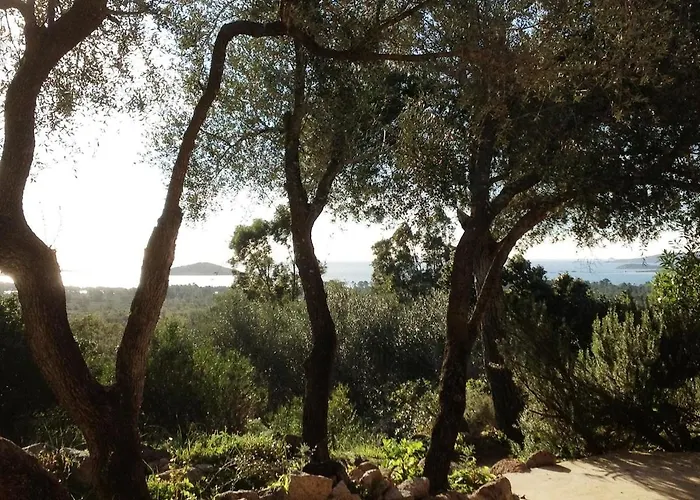 Ferienhaus I Caselli, Mini Vue Dans Calme Et Arboree