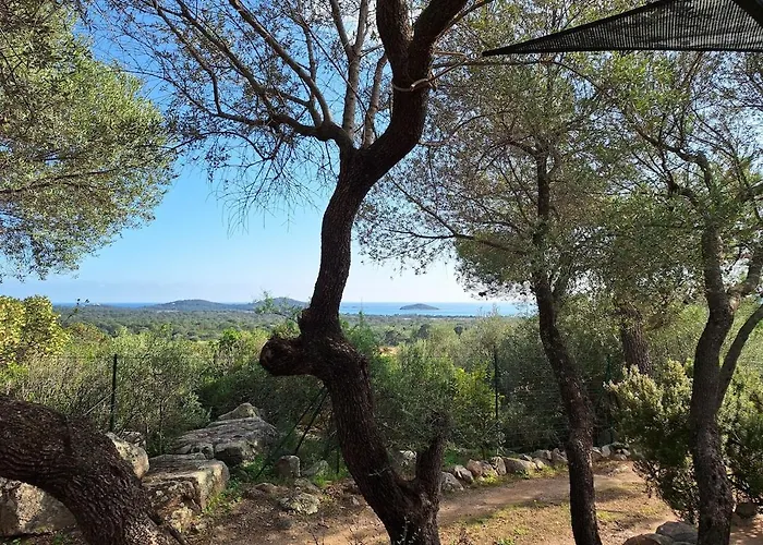 I Caselli, Mini Vue Dans Calme Et Arboree *