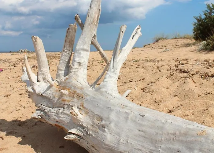 I Caselli, Mini Vue Dans Calme Et Arboree * Lecci