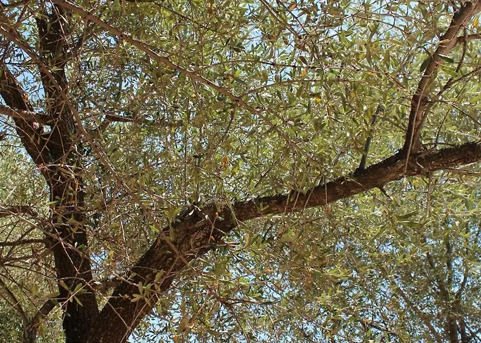 I Caselli, Mini Vue Dans Calme Et Arboree Ferienhaus *